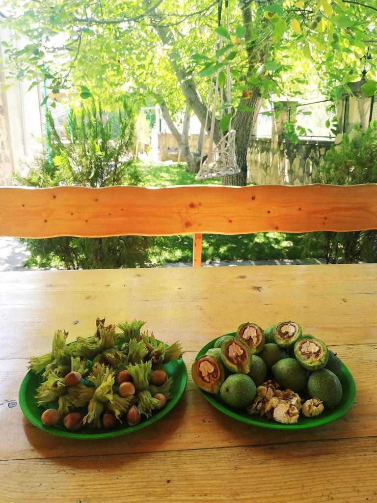 Guest house Nataly photo 4