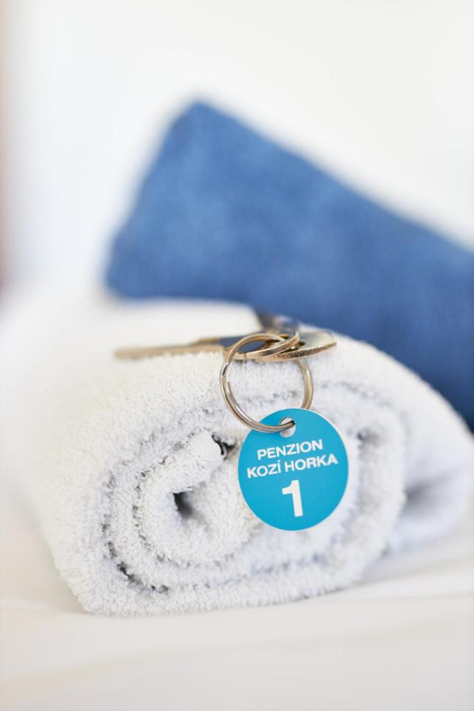 Двухместный (Двухместный номер с 1 кроватью и балконом), Penzion Kozí Horka u Brněnské přehrady