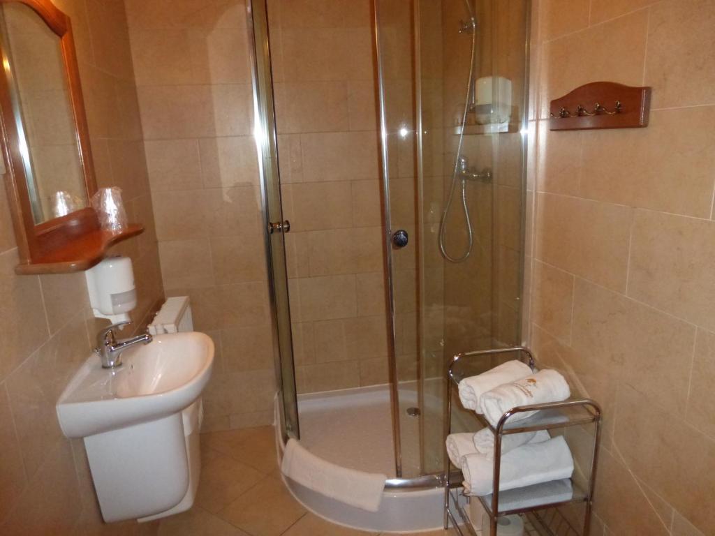 Одноместный (Одноместный номер), Hotel Dwór Karolówka
