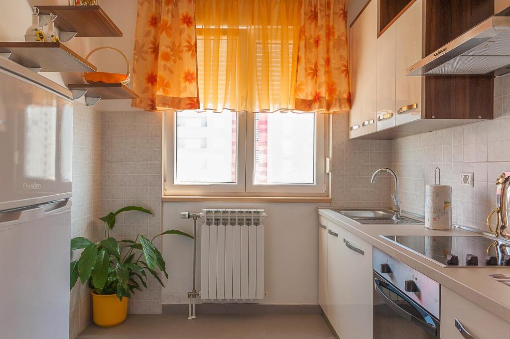 Apartment Marija photo 4