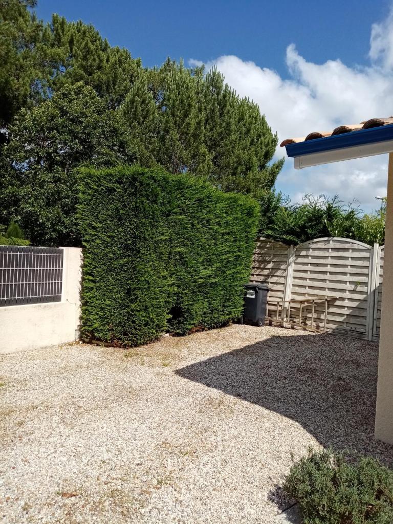 La girolle photo 3