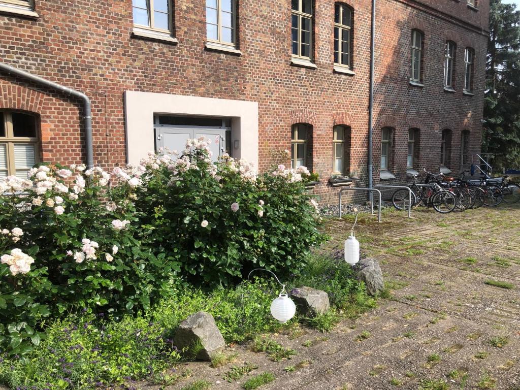 Nr9Marinehafen - Ferienwohnungen photo 4