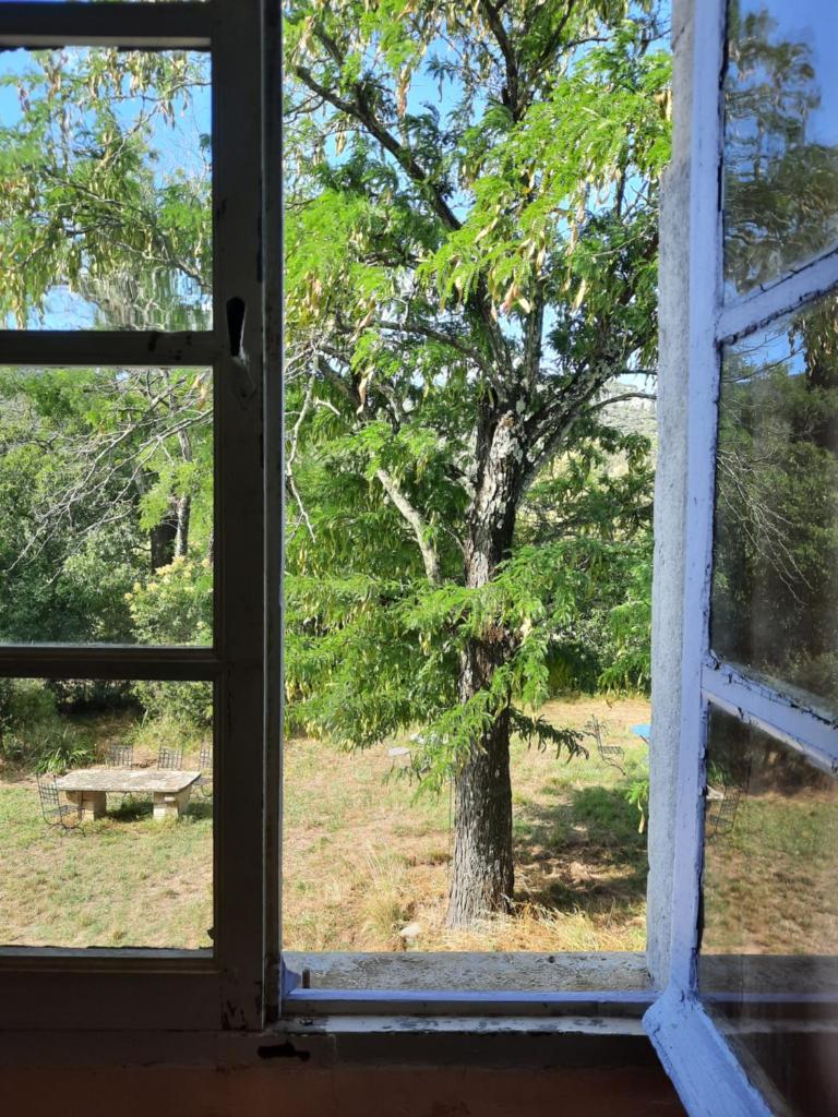 Domaine Mas Pigné photo 1