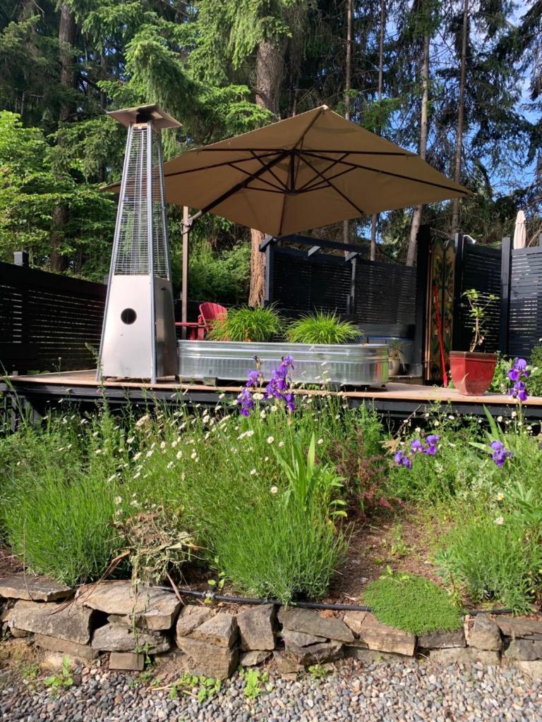 Salt Spring Carriage House B&B photo 4