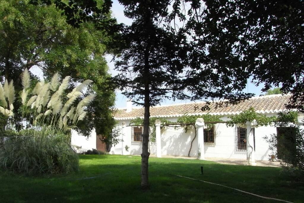Casa El Carmen photo 3
