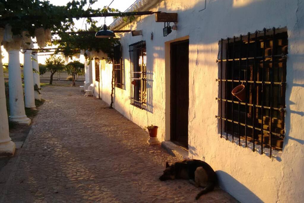 Casa El Carmen photo 4