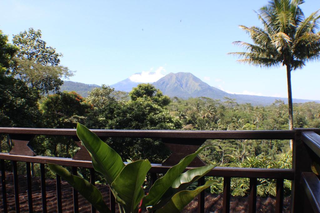 MesaStila Resort and Spa photo 2