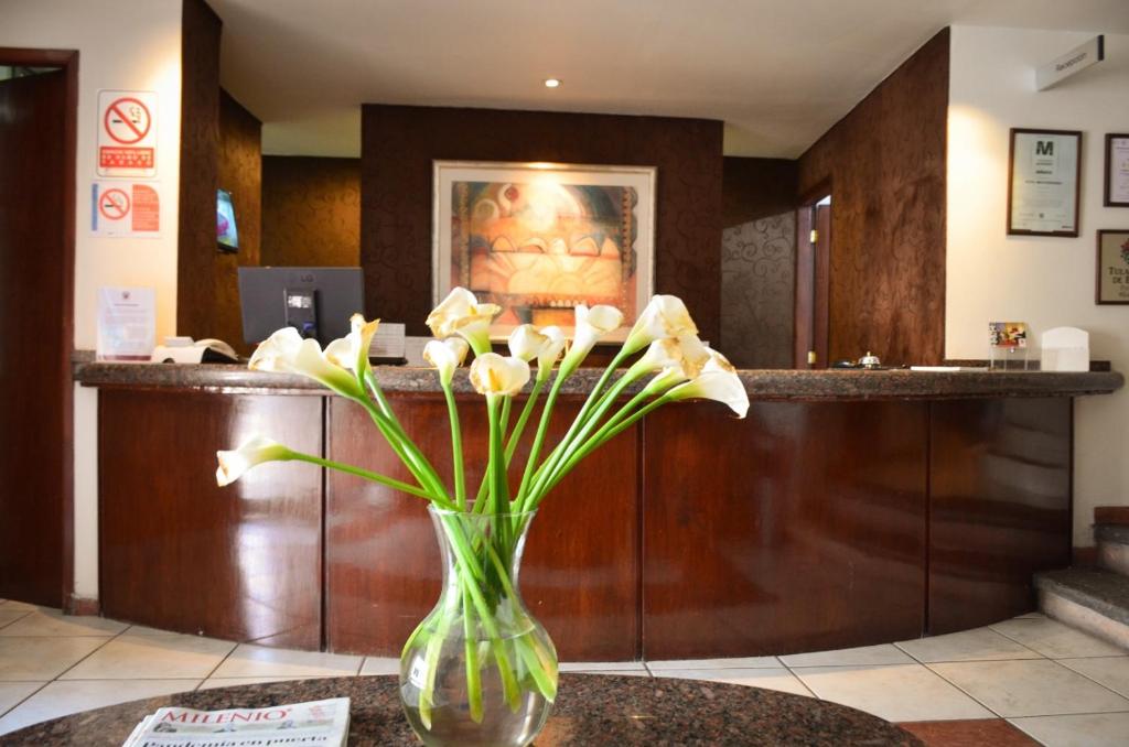 Hotel Mediterraneo Sa De Cv photo 2