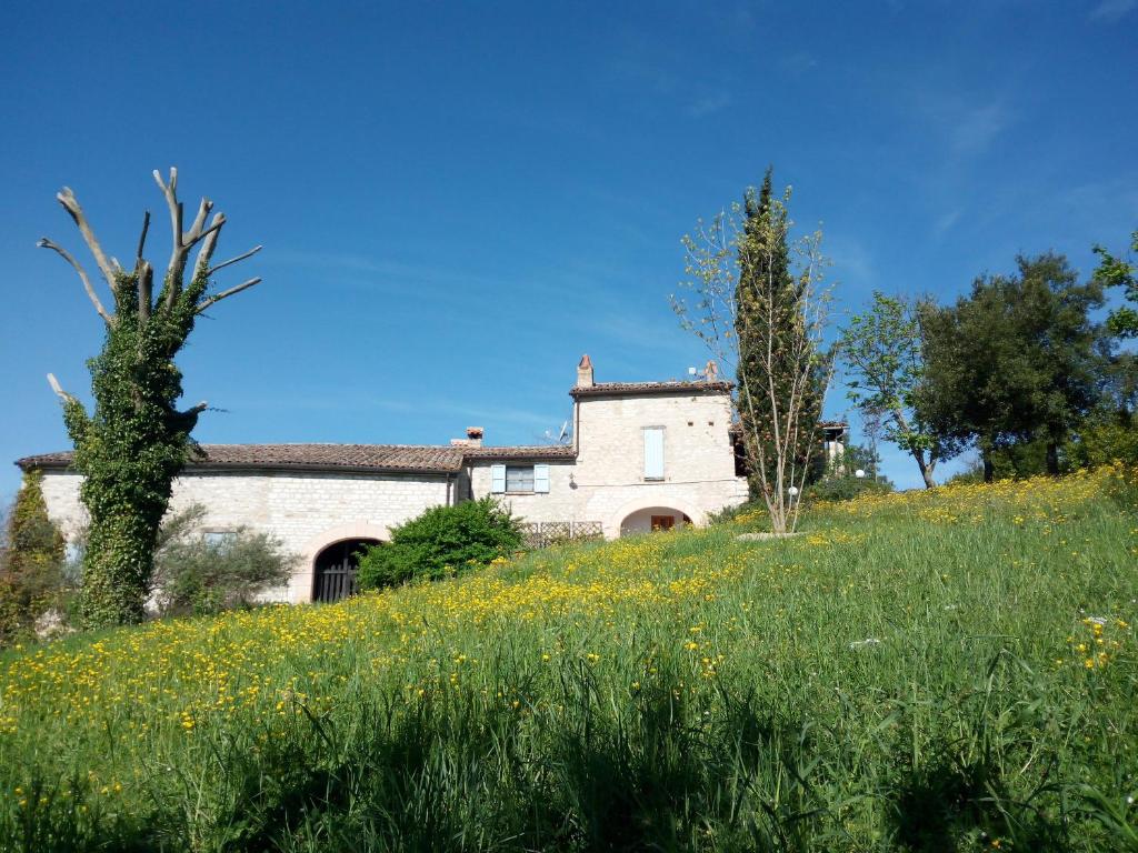 Agriturismo del Frontino - Lo Studio photo 2