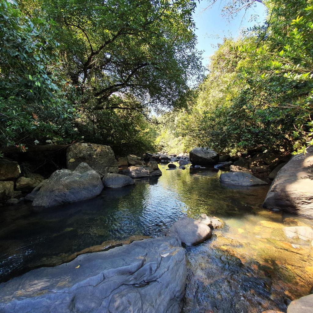 Powerhouse River Resort photo 4