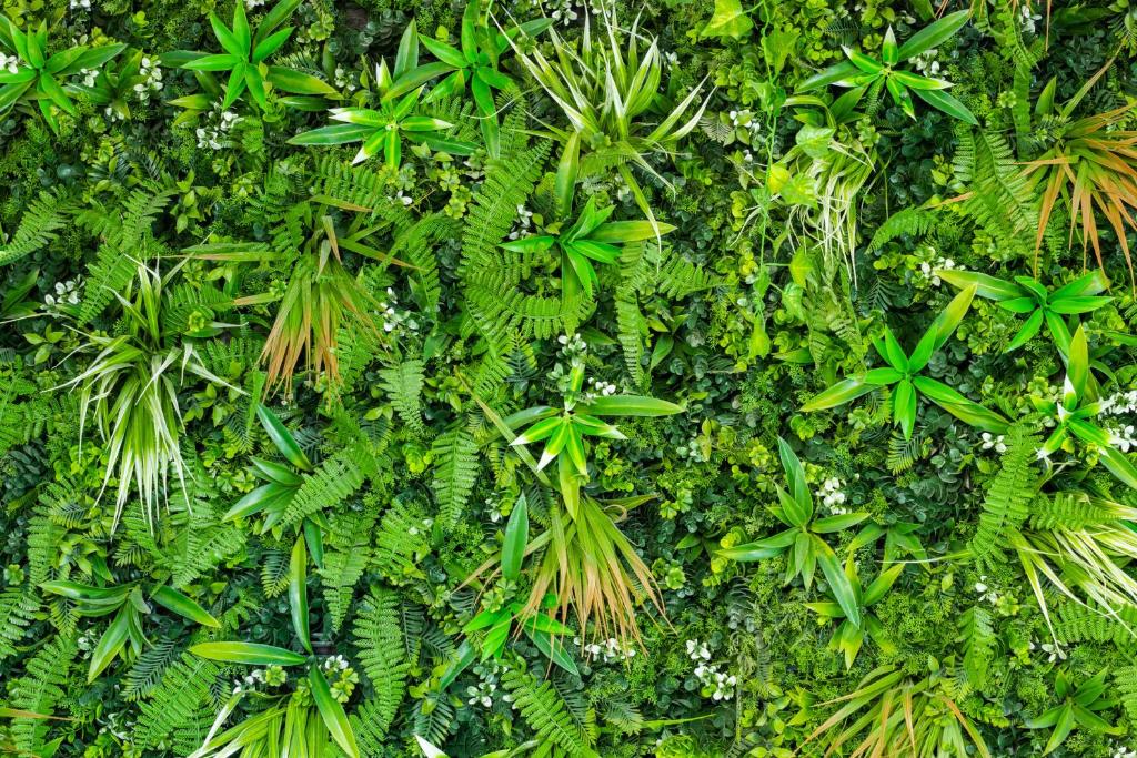 스튜디오 아파트