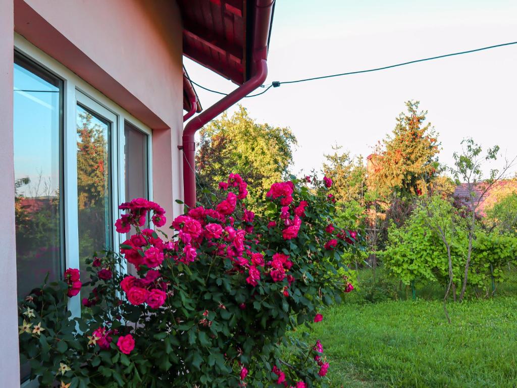 Casa Ili photo 3