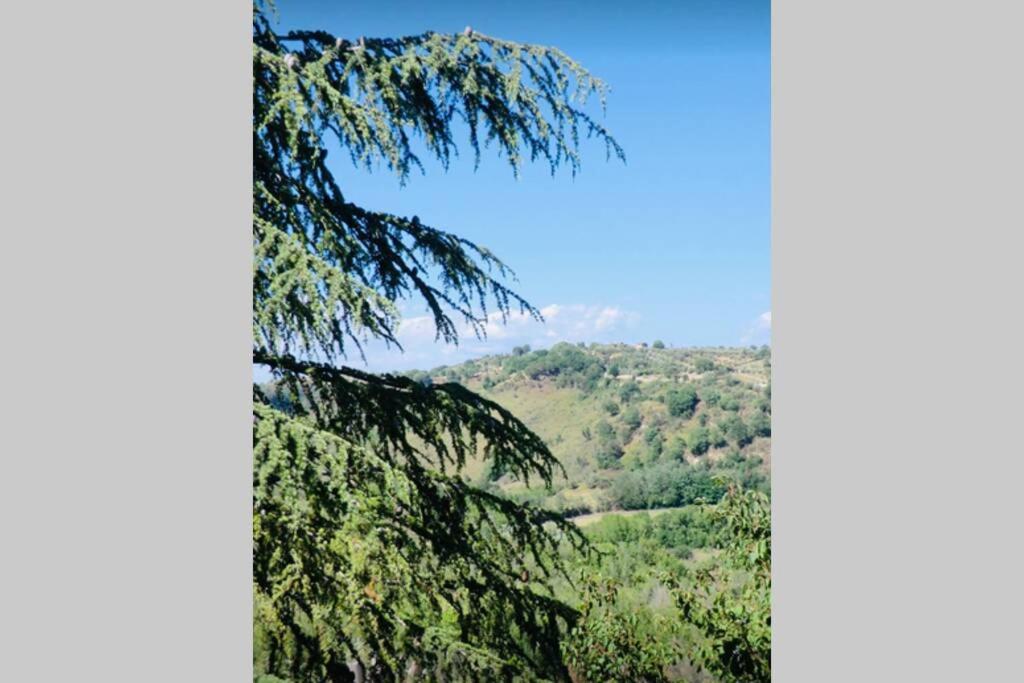 Rome Retreat photo 4