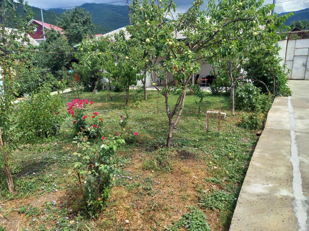 Вилла (Вилла), Отель Korifey
