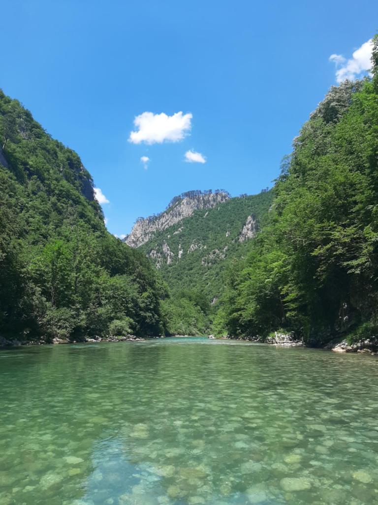 Rafting Camp Apartments Montenegro Goran Lekovic photo 4