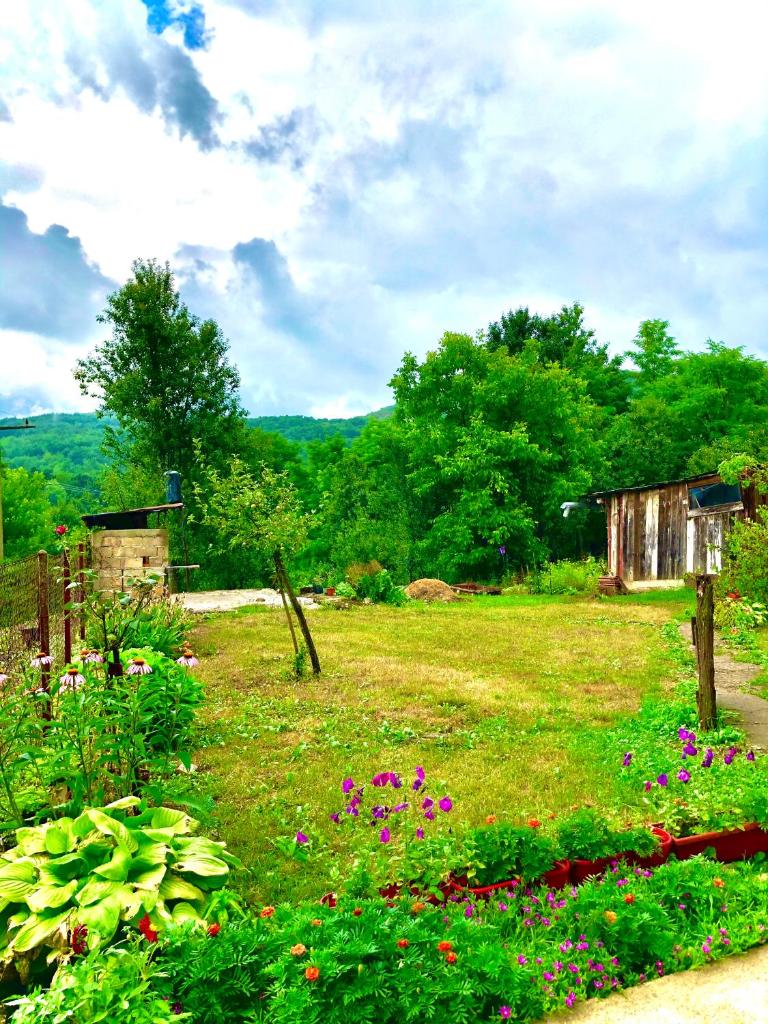 Guesthouse D&D photo 4