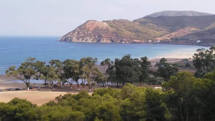Amsabeach photo 1