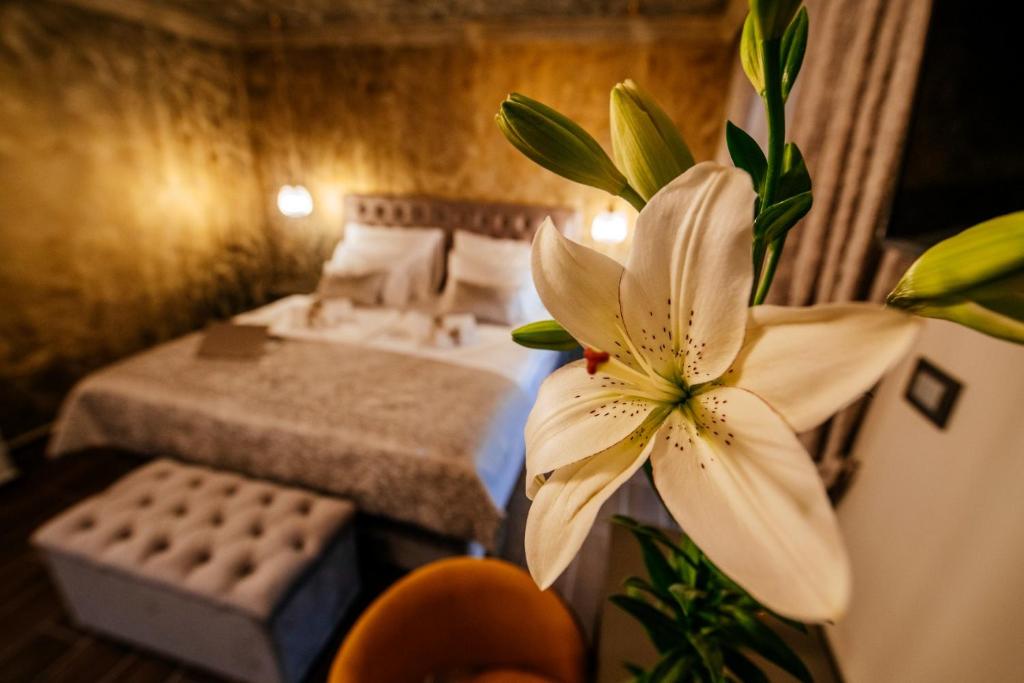 Luxury Rooms VINDEMIÆ photo 3