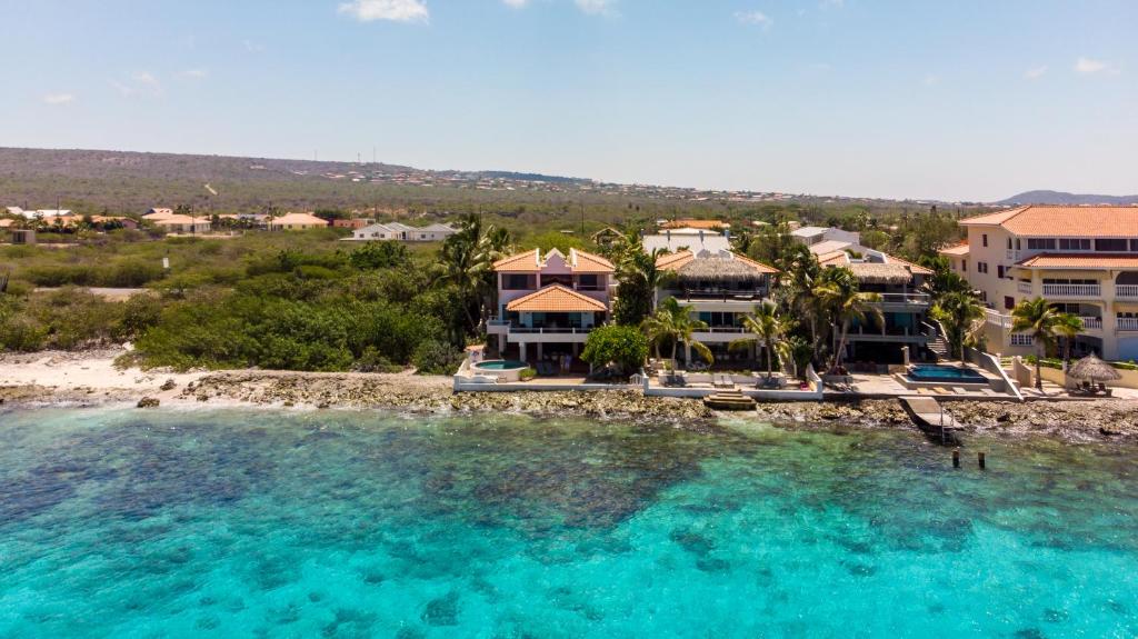 One Ocean Boutique Apartments & Suites Bonaire photo 4