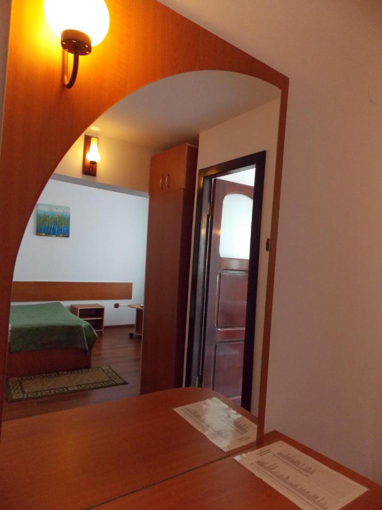 Двухместный (Стандартный двухместный номер с 1 кроватью), Hotel Amadeo with bathroom