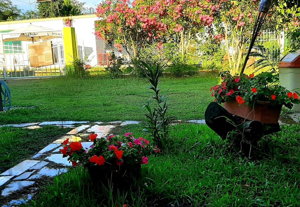 kolonia e artistave photo 3