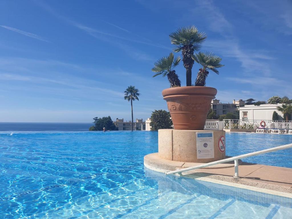 Cannes & More photo 2
