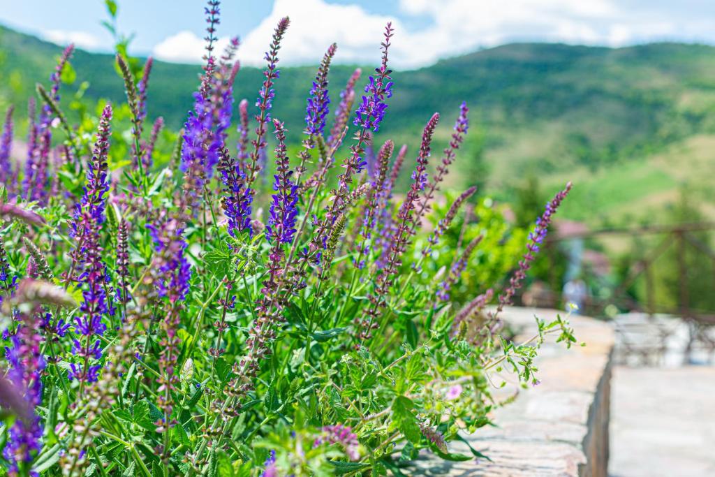 Лайнер Горный Курортный Комплекс Layner в Чимгане photo 2