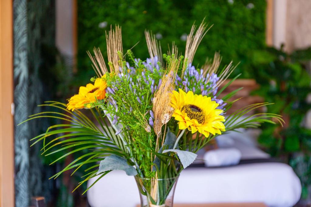 L'Amazonia - Domaine Tropical - 스튜디오