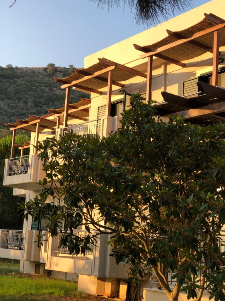 Amalia Hotel photo 4