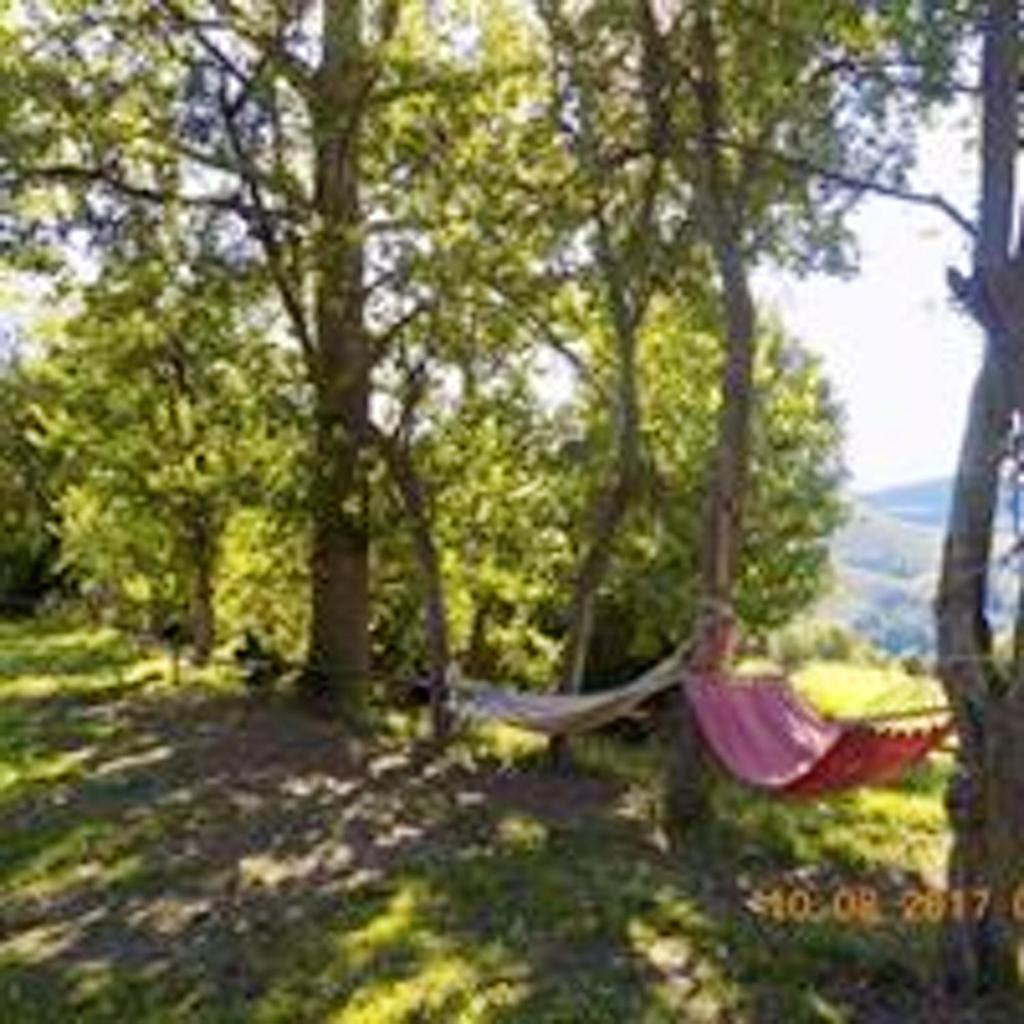 One bedroom appartement with furnished garden at Ardanue photo 3