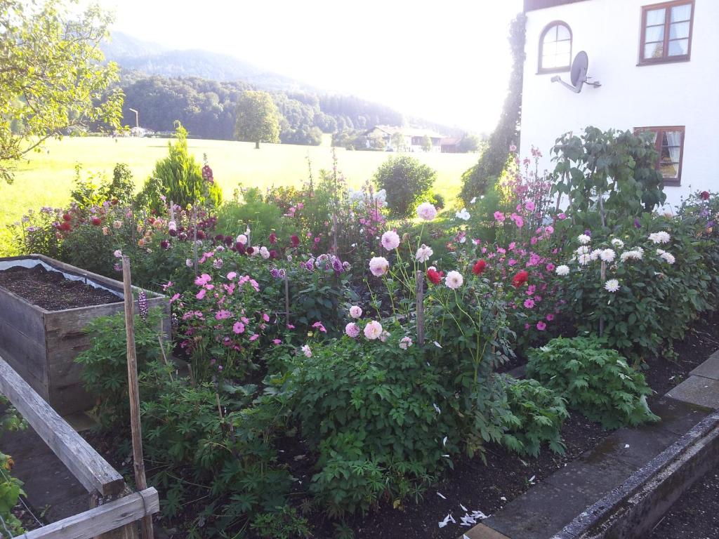 Ferienwohnung Zottnerhof photo 3