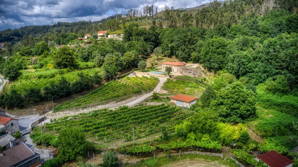 Quinta da Mourinha photo 4
