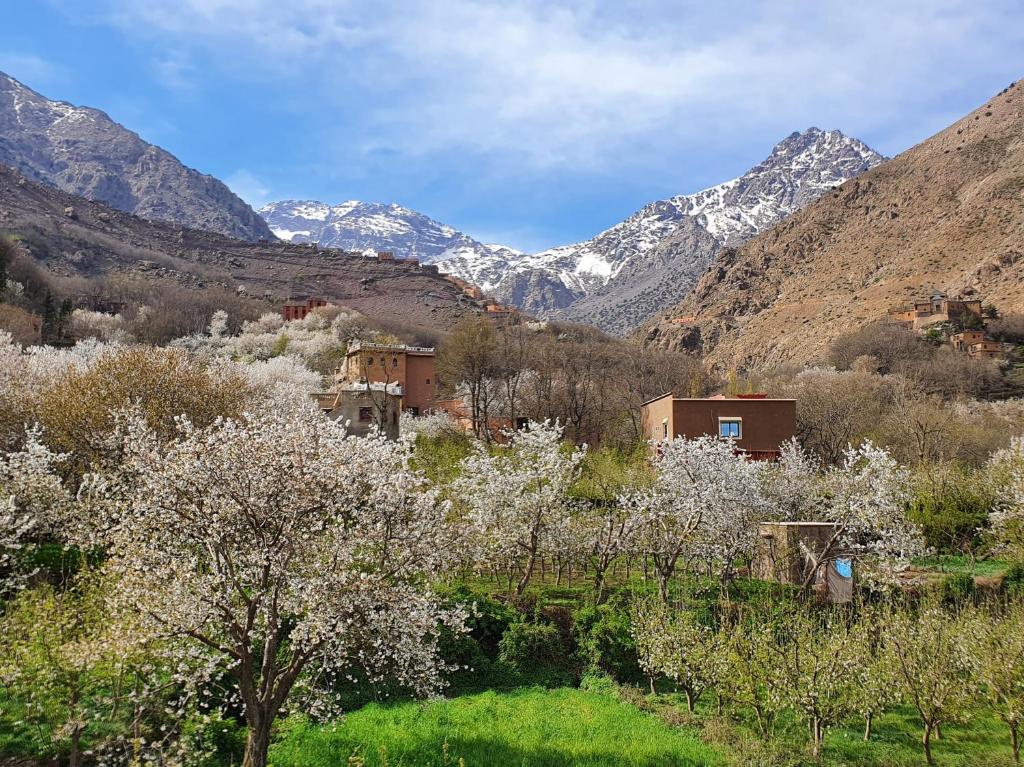 Dar Assarou - Toubkal National Park Lodge photo 3