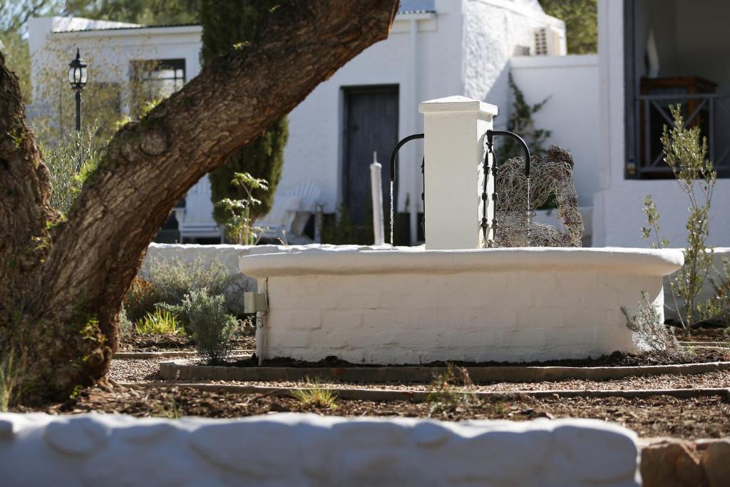 Dennehof Karoo Guesthouse photo 4