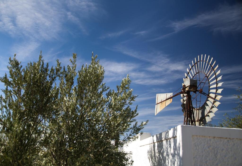 Dennehof Karoo Guesthouse photo 1