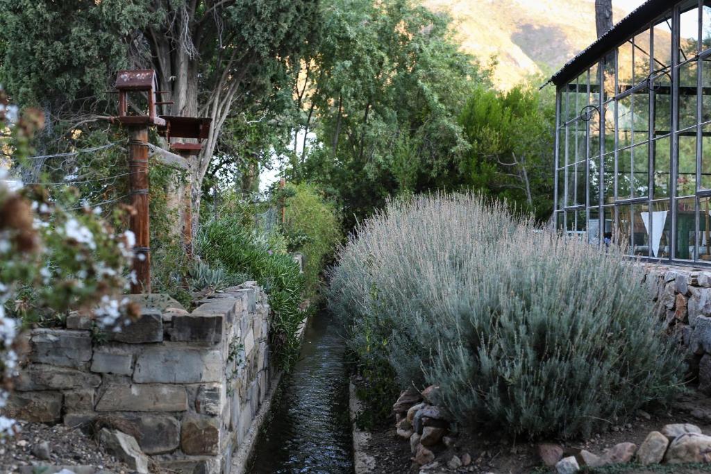 Dennehof Karoo Guesthouse photo 3