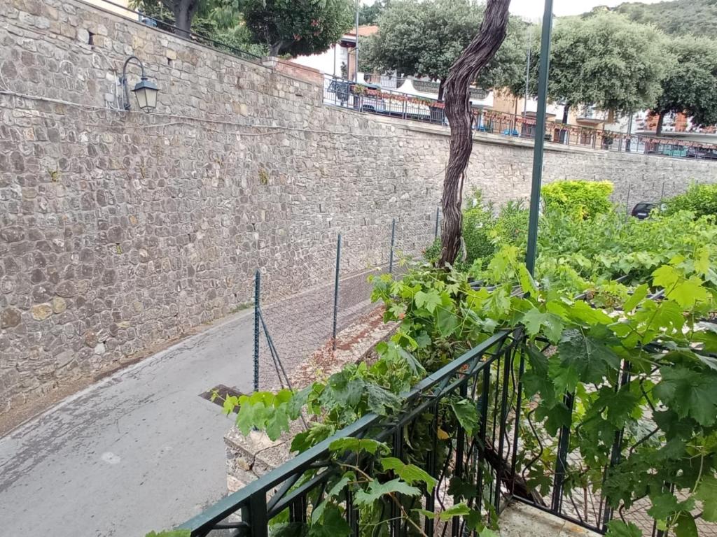 Casa ALCA photo 2