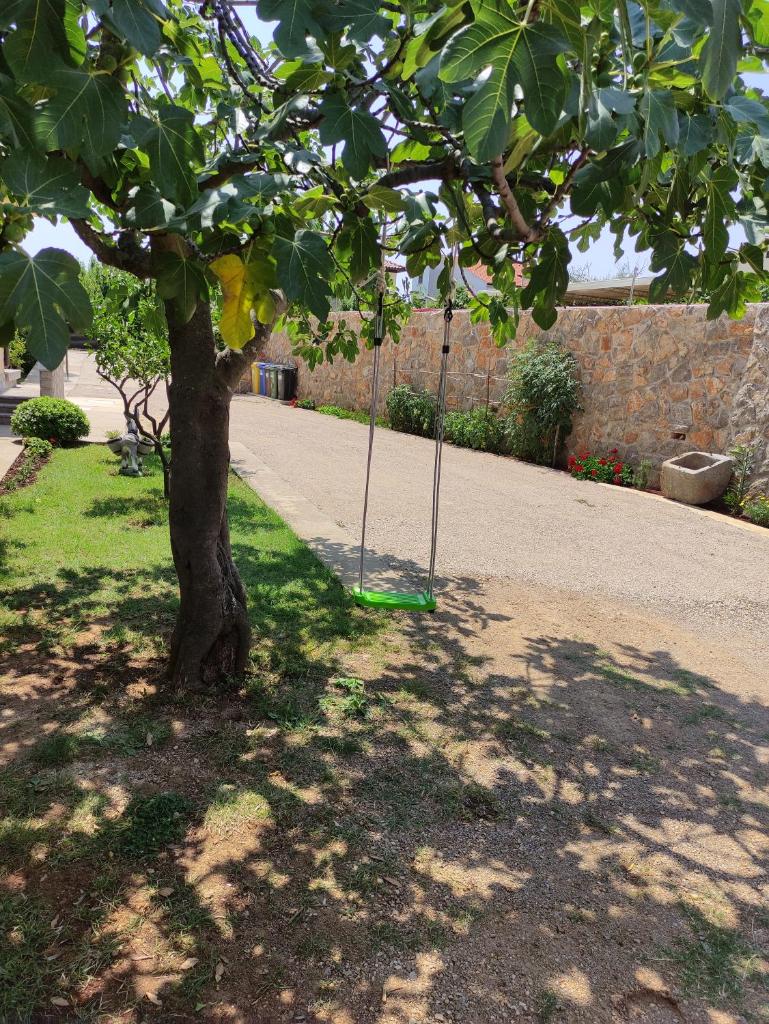 Apartment Veglia photo 4