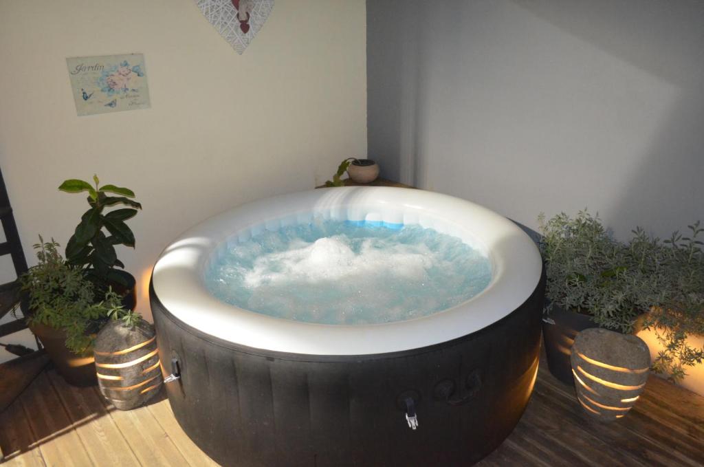 Studio tout confort avec son jacuzzi