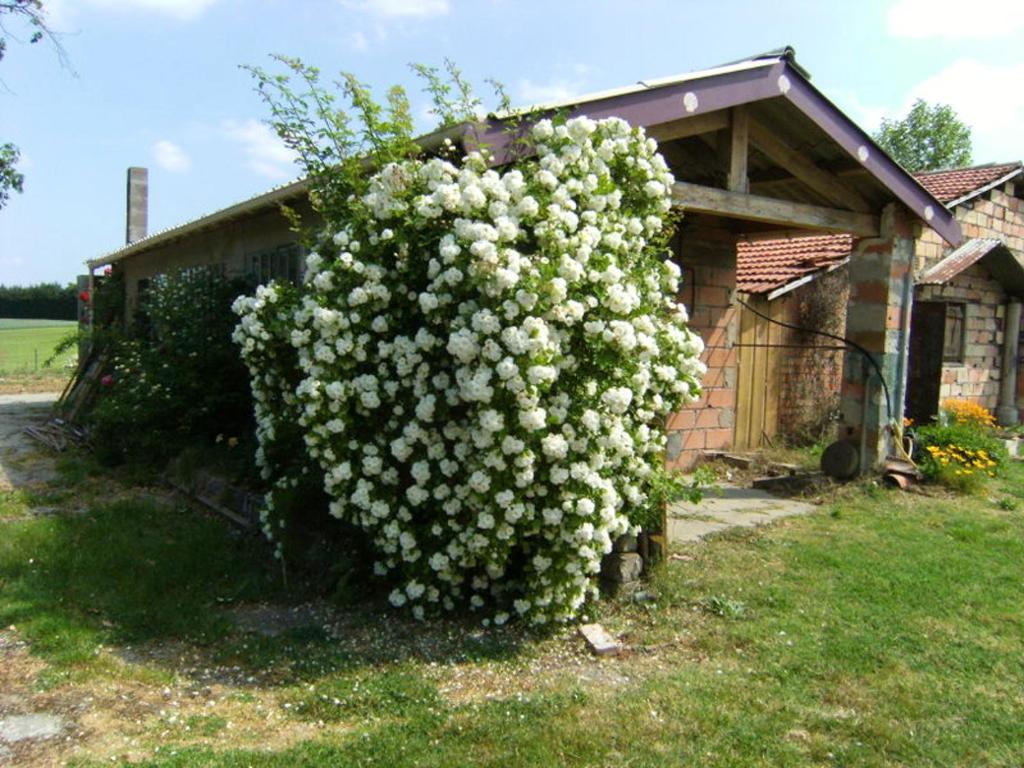 Maison de 3 chambres avec piscine partagee jardin clos et wifi a Moissac photo 1