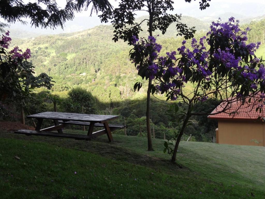 Villa Piccola Italia photo 4