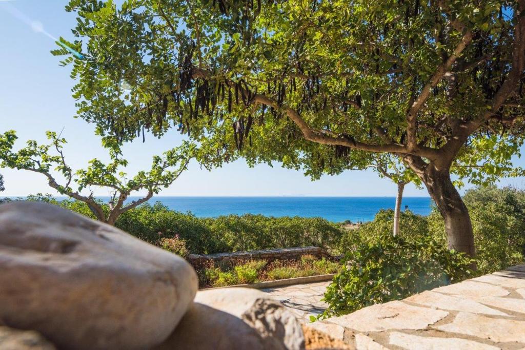 Villa Venus photo 4