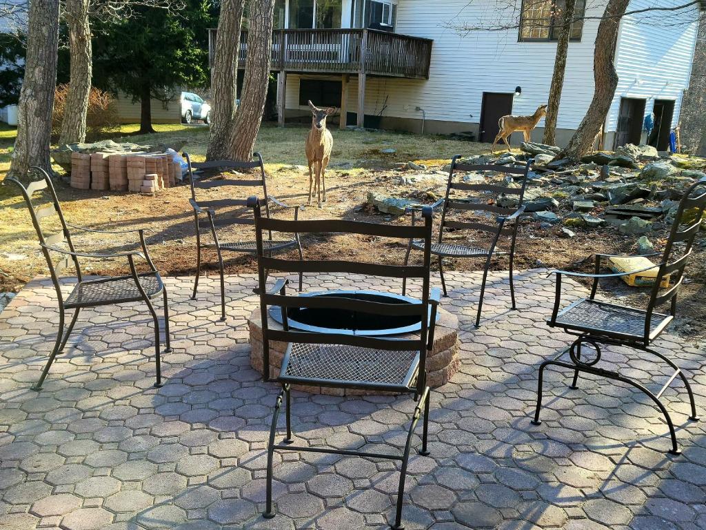 The Pocono's Retreat with a Gameroom, Firepit, and Lake photo 1