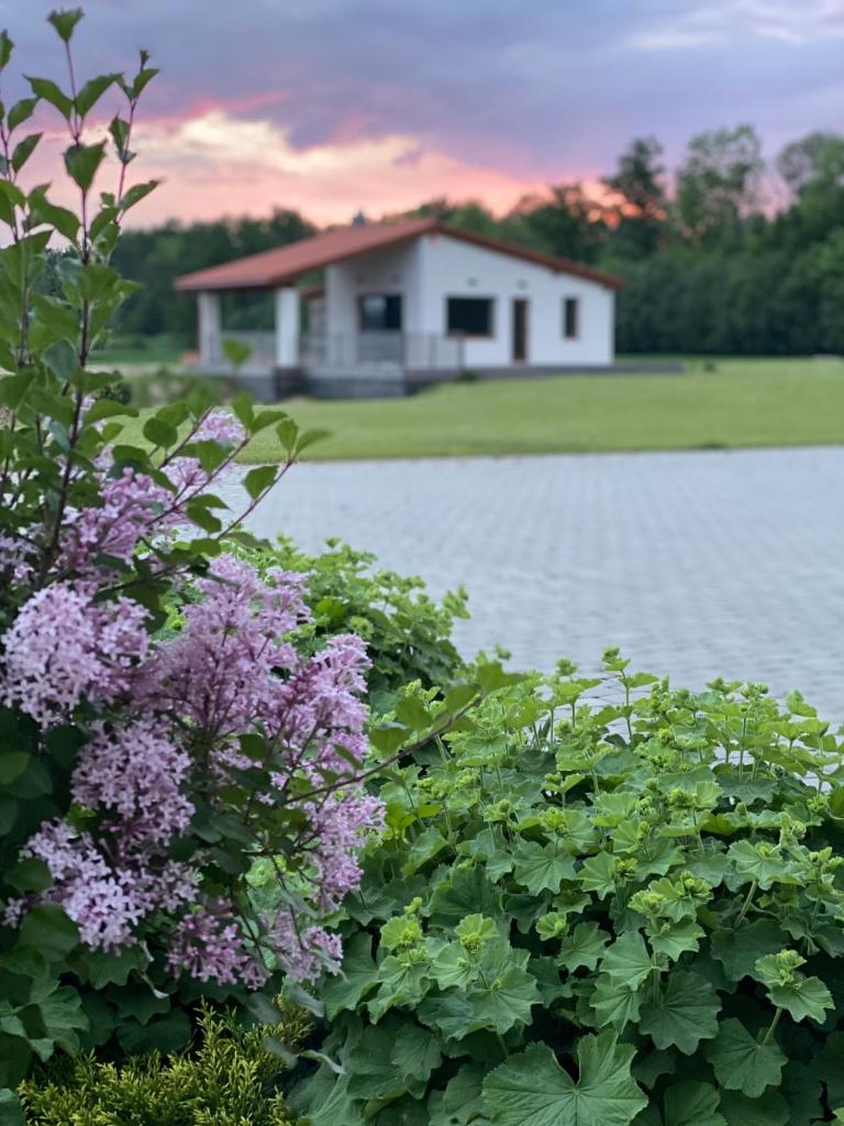 Sodyba Pelėdų medus photo 1