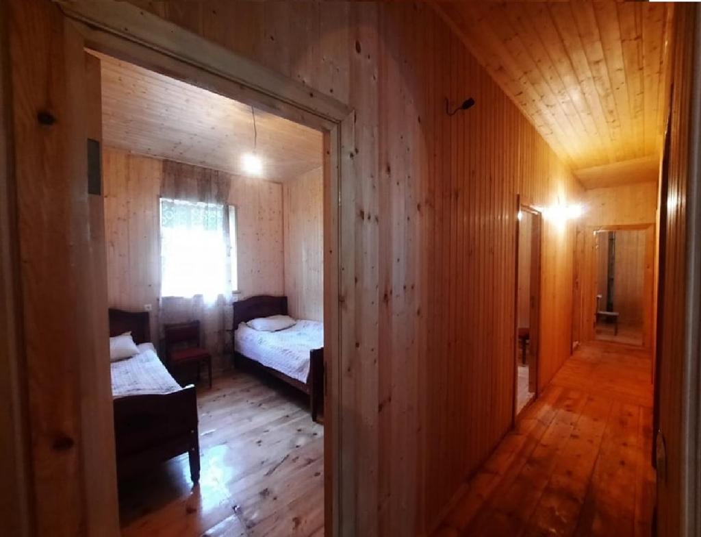 Nino & Tarzan Guesthouse photo 1