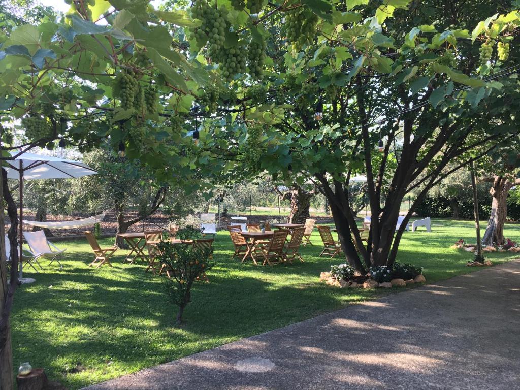 Az. Agr. Parco dei Buoi photo 4