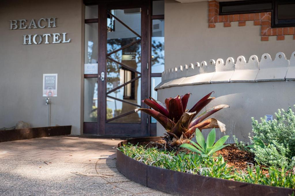 Beach Hotel Resort photo 1