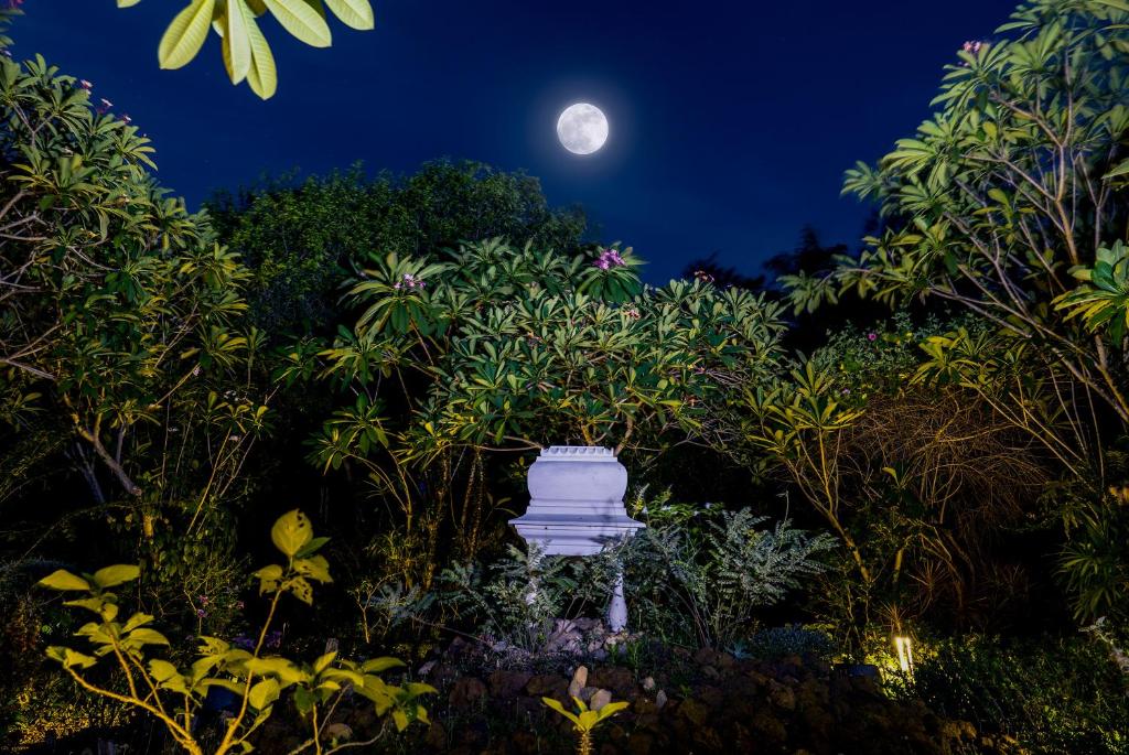 Gaia's Garden Guest House photo 3
