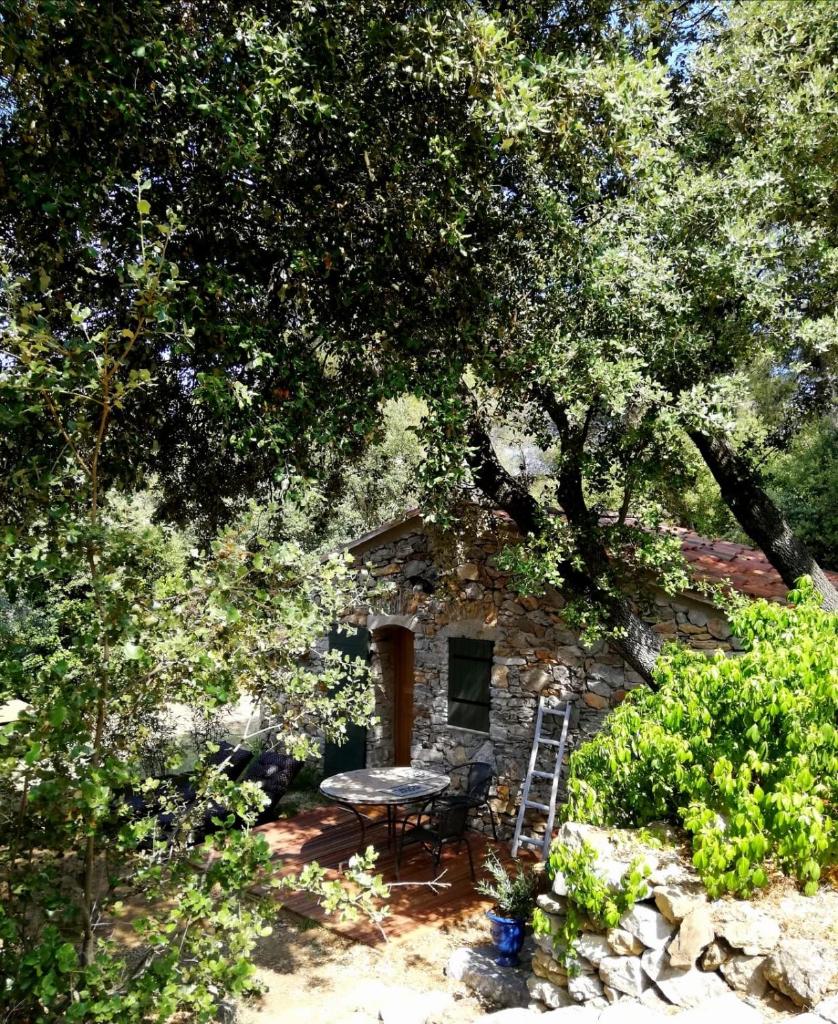 Cabanon Sainte Victoire photo 3