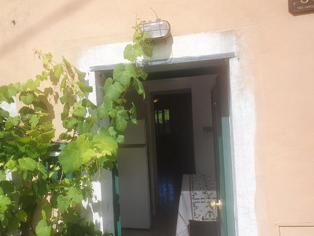 Included Breakfast & Public Pool Central Flat According Selected Rate